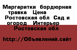 Маргаритки. бордюрная травка › Цена ­ 10-50 - Ростовская обл. Сад и огород » Интерьер   . Ростовская обл.